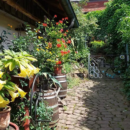 Beim Schlafwandler Apartment Karlsbad Exterior photo