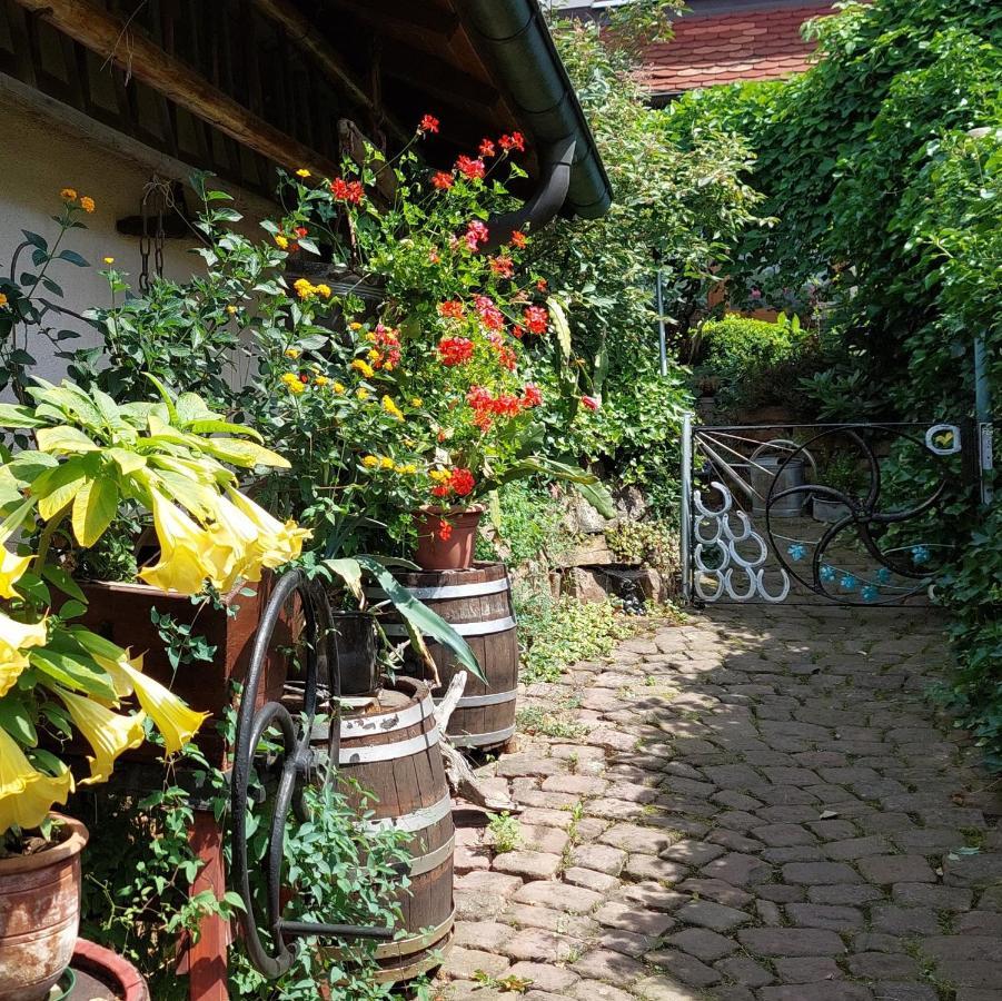 Beim Schlafwandler Appartement *